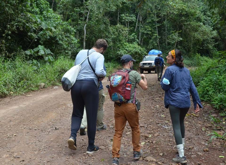 Gorilla Tours from Senegal