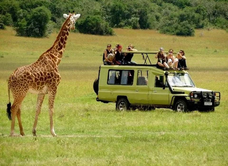Road Trip Safari from Kampala to Masai Mara 13 Why Choose Uganda As Your Safari Destination