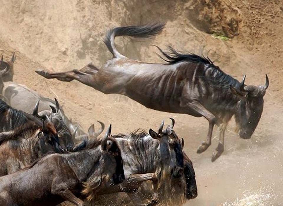 Small Group Safaris to Masai Mara