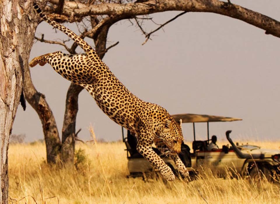 The Akagera National Park Rwanda