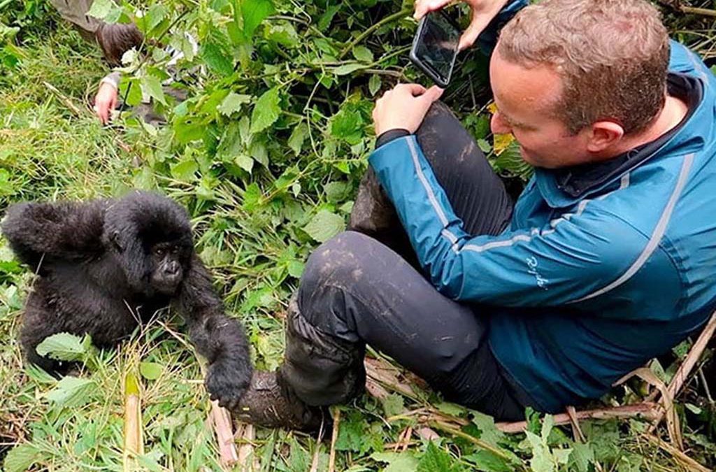 What to expect during gorilla trekking? 2 What to expect during gorilla trekking