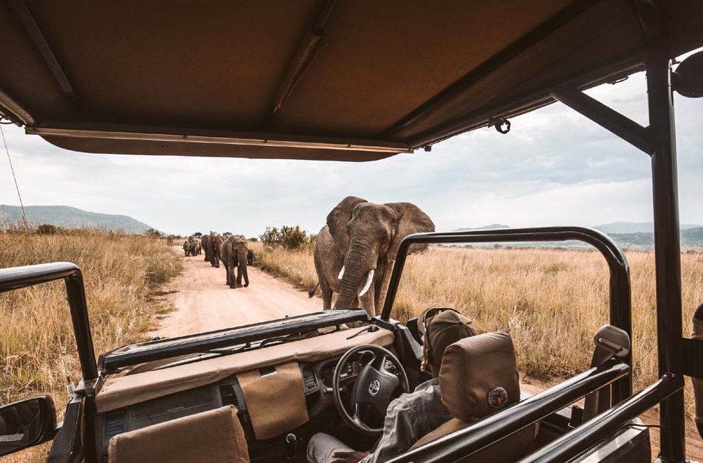 5-Day Kenya Game Safari 2 5-Day Kenya Game Safari