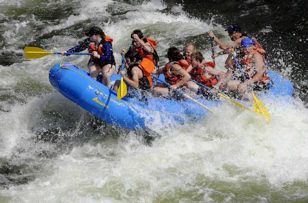 Combining Gorillas and Whitewater Rafting