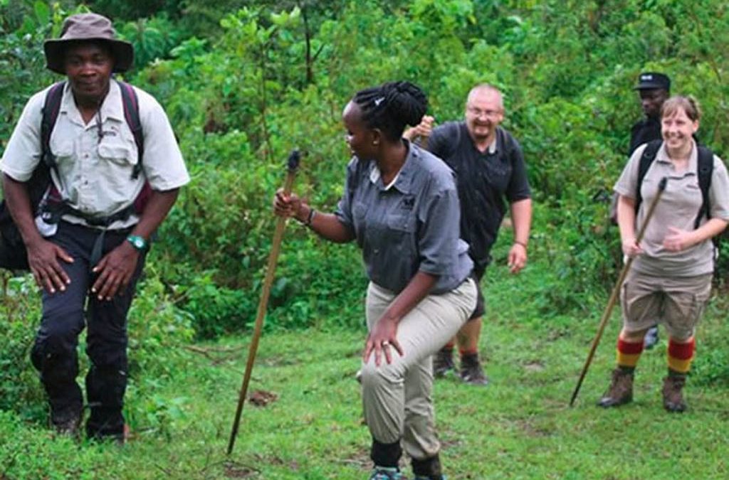 Is it possible to hire gorilla trekking gear in Rwanda 2 Is it possible to hire gorilla trekking gear in Rwanda