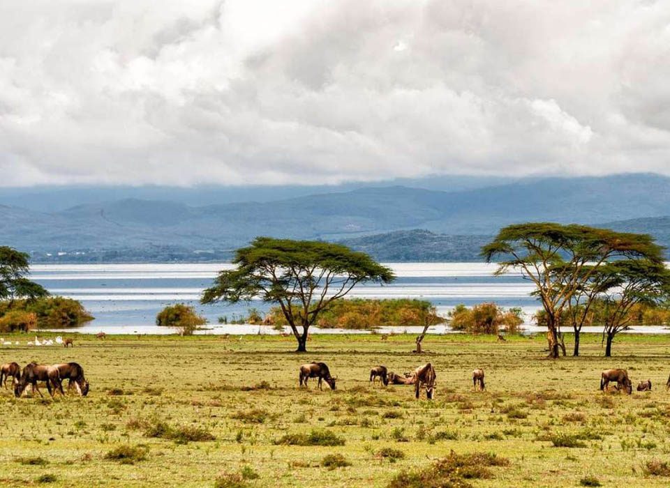 Lake Naivasha