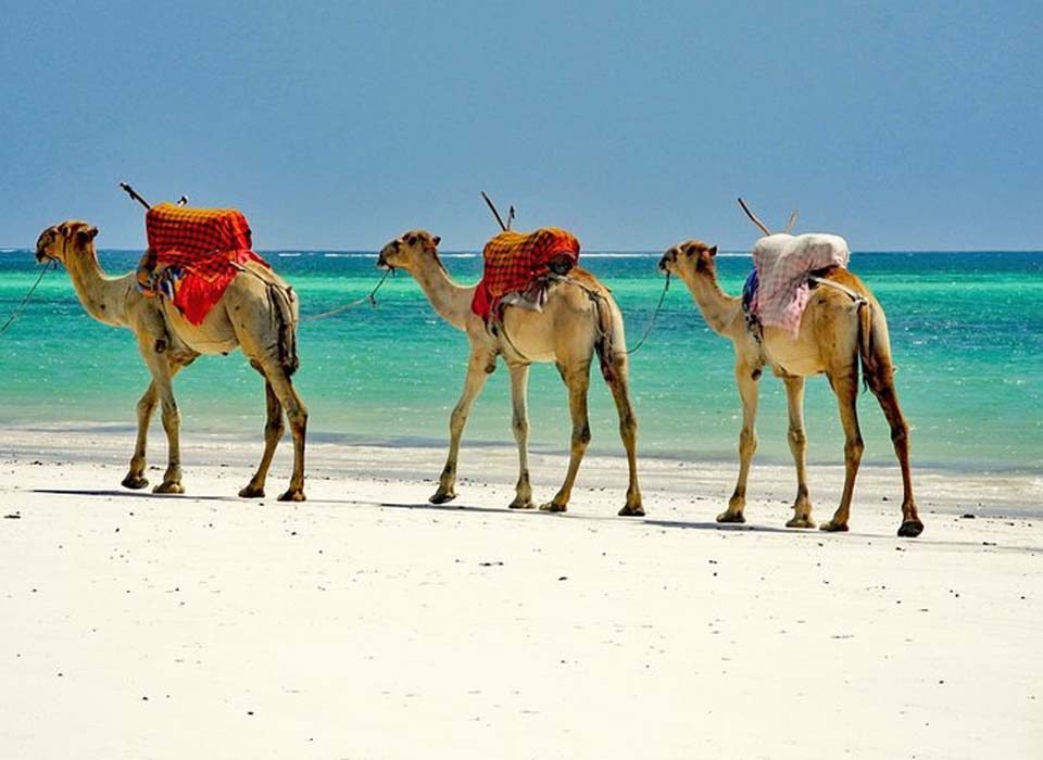 Mombasa day trips and tours