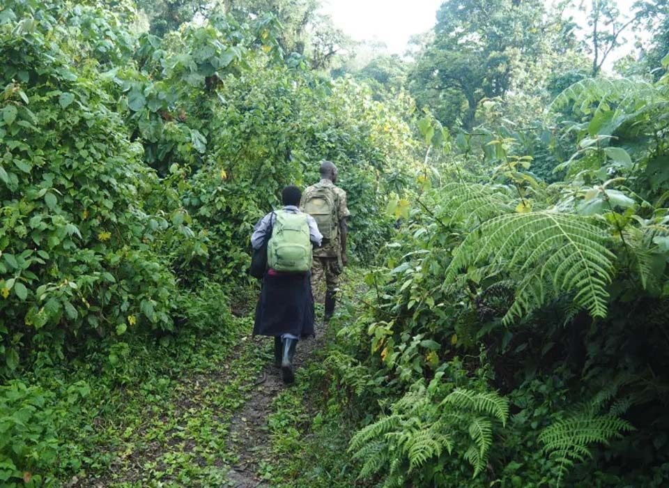 Is it possible to hire trekking gear in Uganda
