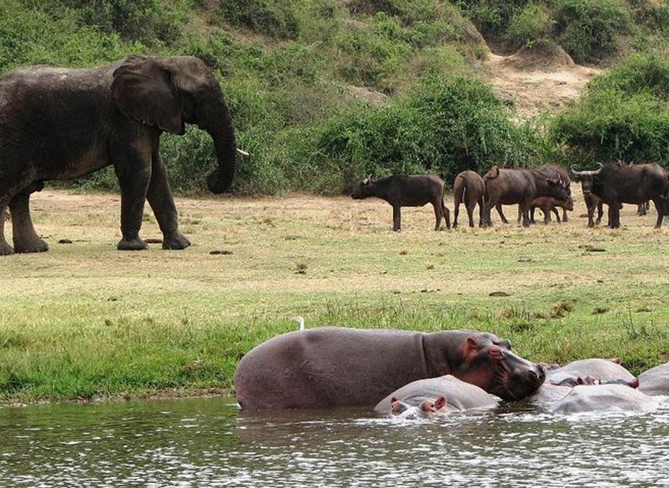 Small Group Safaris to Queen Elizabeth National Park