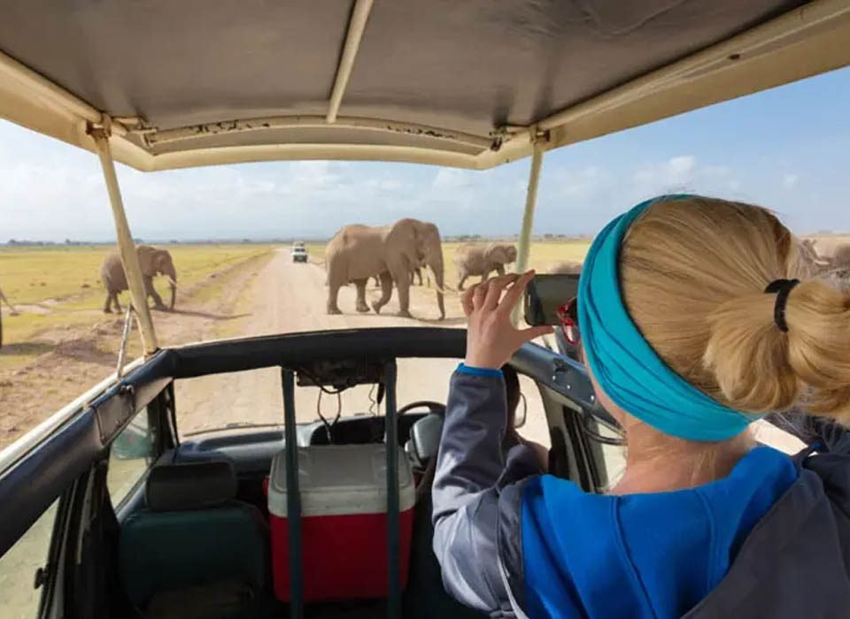 Game drives in Uganda