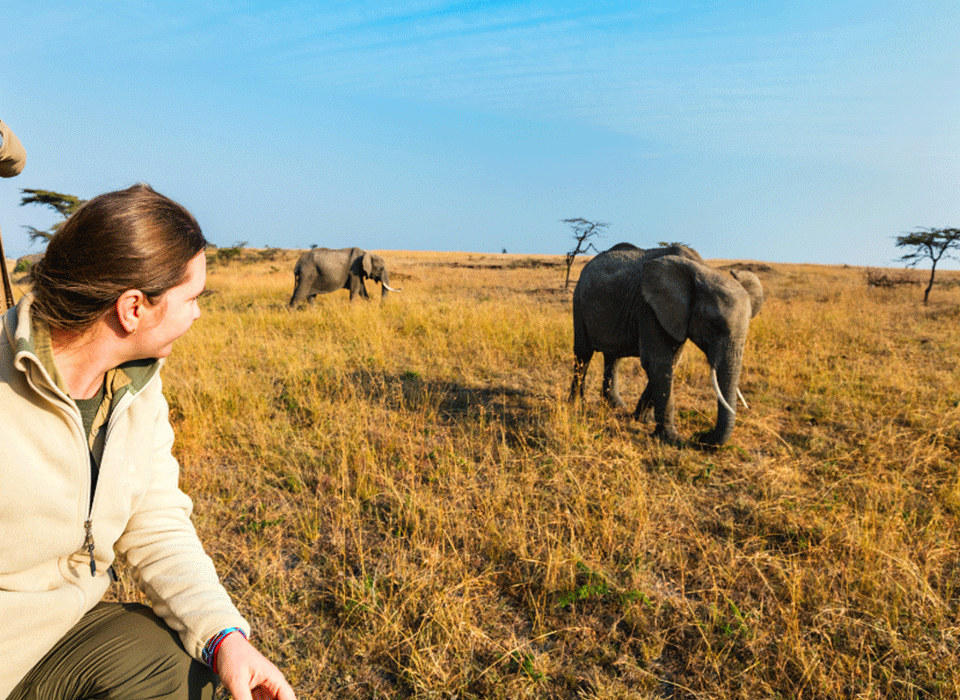 Short Safaris to Uganda