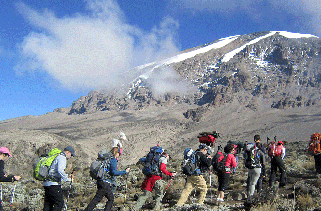 Combined Rwanda Gorilla and Kilimanjaro Hiking on a Safari
