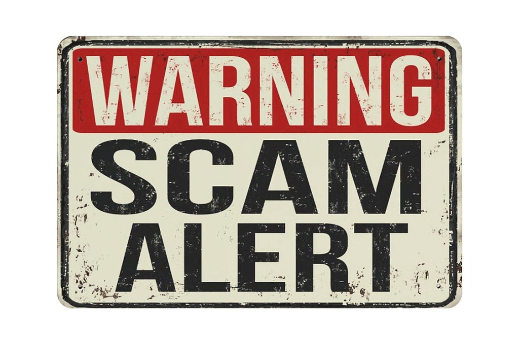 How to Avoid Gorilla Safari Scams 2 How to avoid Gorilla Safari scams