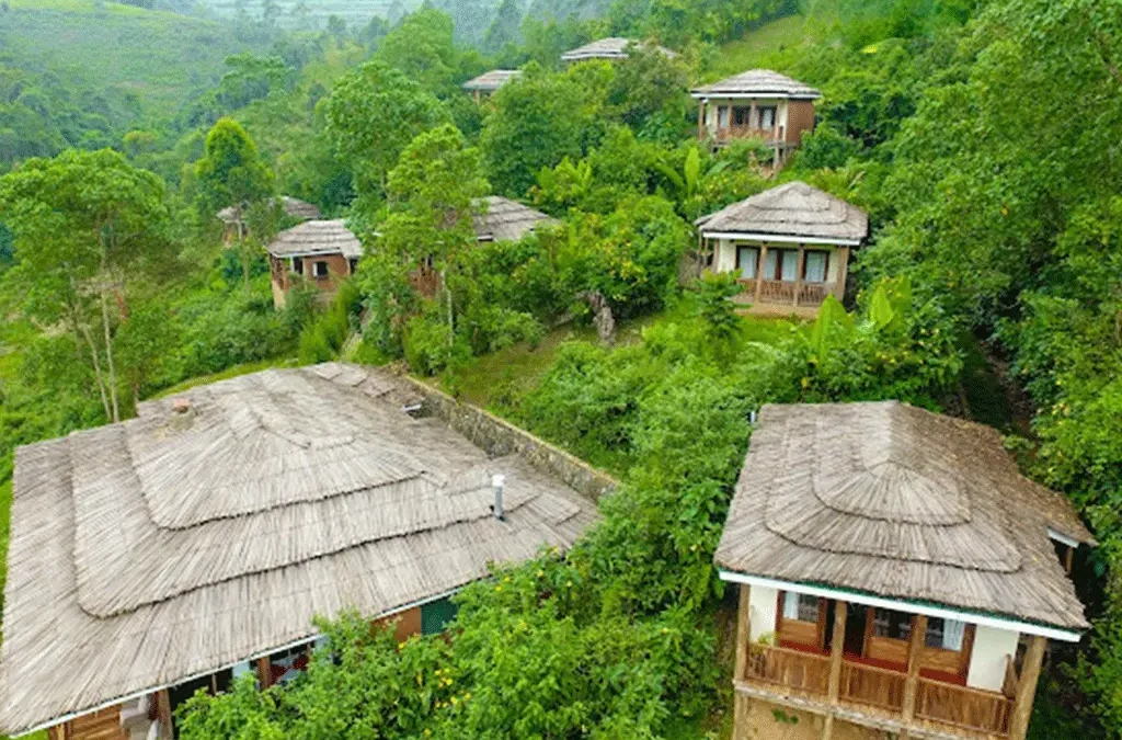 Accommodation Options for a 3 Days Gorilla Tour from Kigali to Bwindi