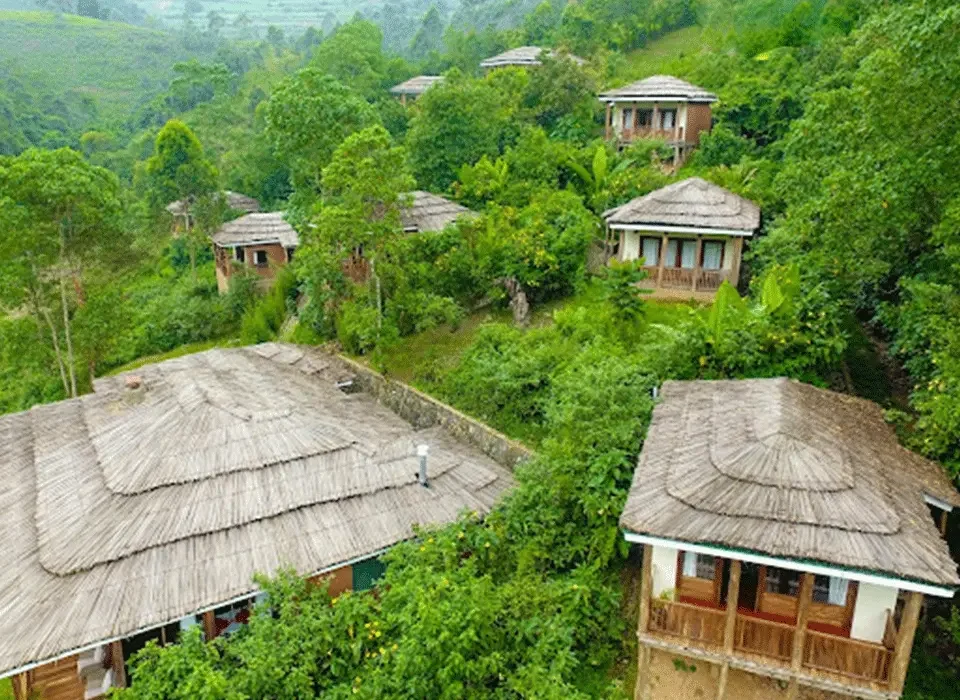 Accommodation Options for a 3 Days Gorilla Tour from Kigali to Bwindi