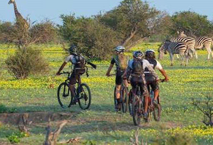 Cycling tour while staying at Eagle's Nest Lodge