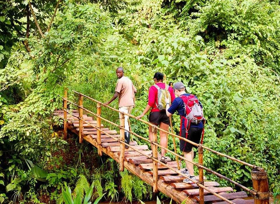 Hiking Destinations in Rwanda
