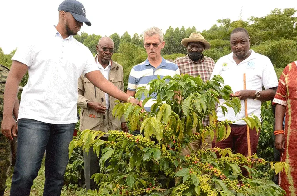 Coffee experiences can provide a relaxed cultural addition to a Uganda Safari for Couples.