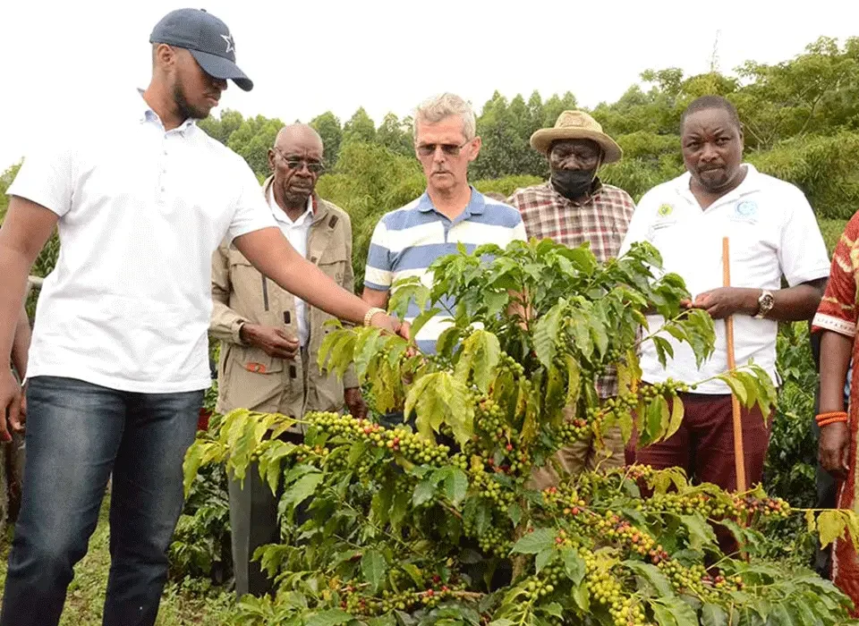 Coffee experiences can provide a relaxed cultural addition to a Uganda Safari for Couples.