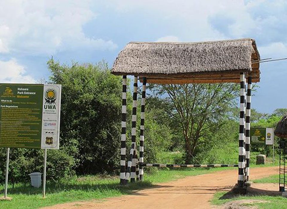 1 Day Lake Mburo National Park tour
