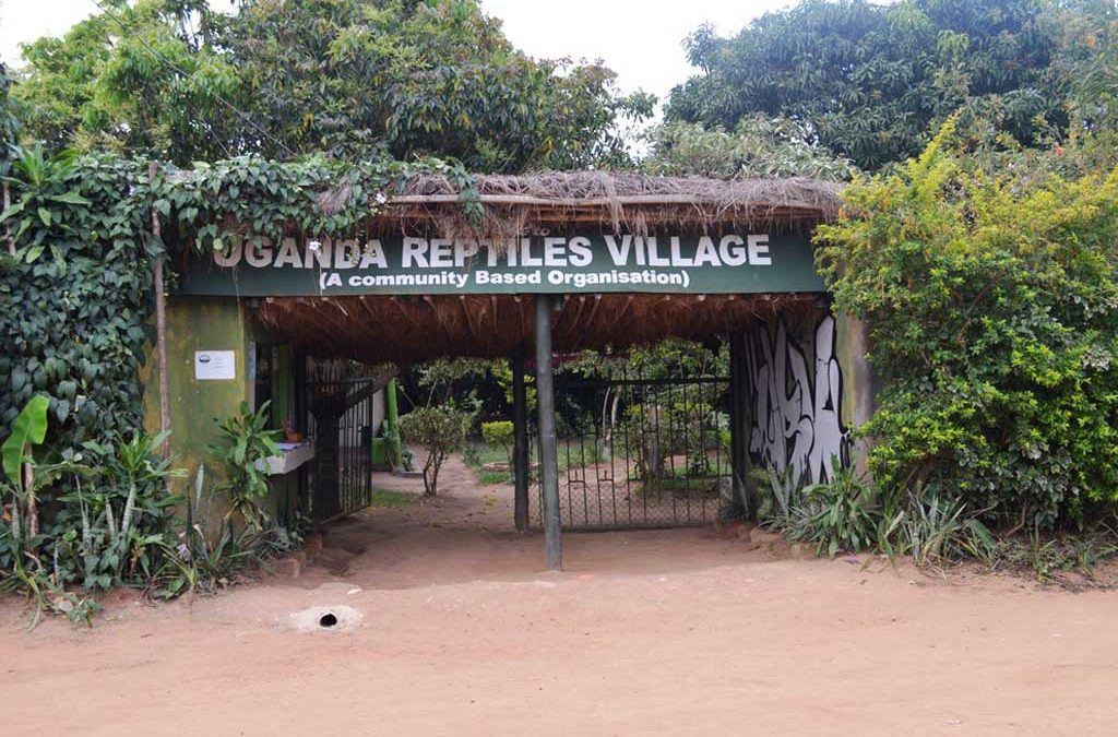 Reptiles Found in Uganda 2 Reptiles Found in Uganda