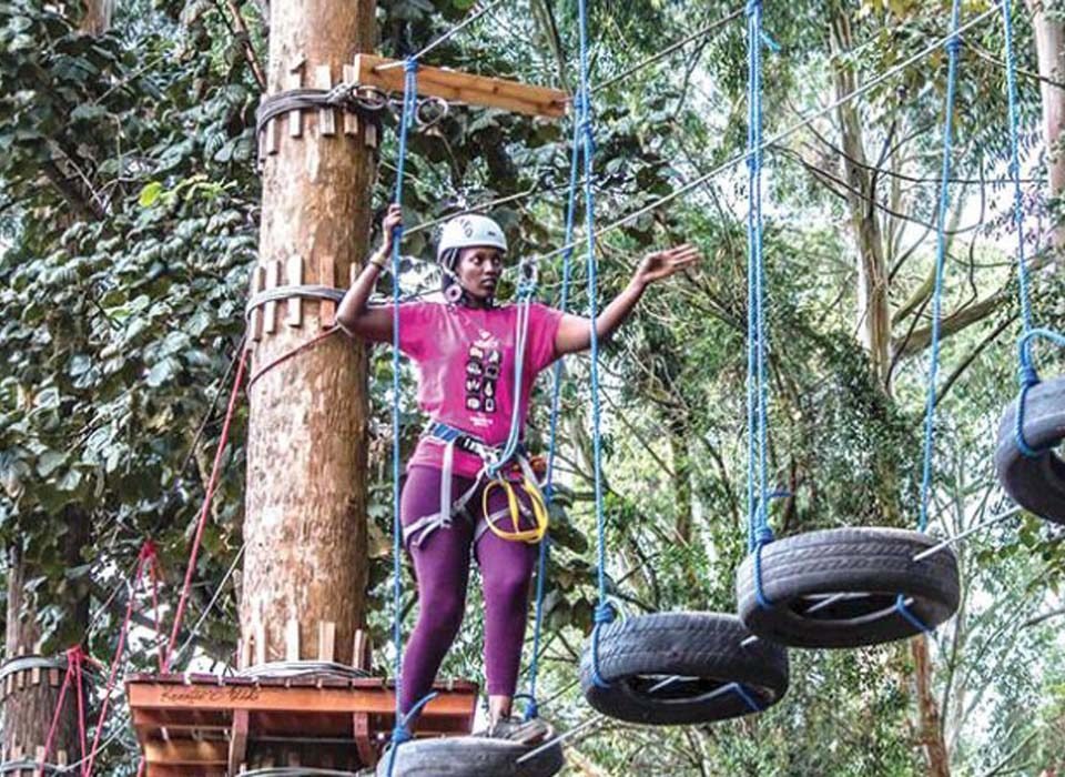 ACTIVITIES IN THE MABIRA FOREST