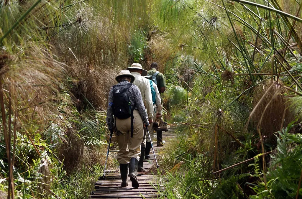 Eco Tourism in Uganda