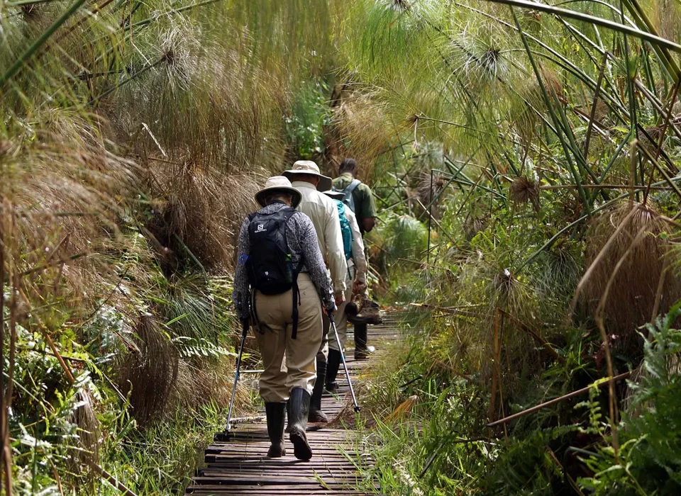 Eco Tourism in Uganda