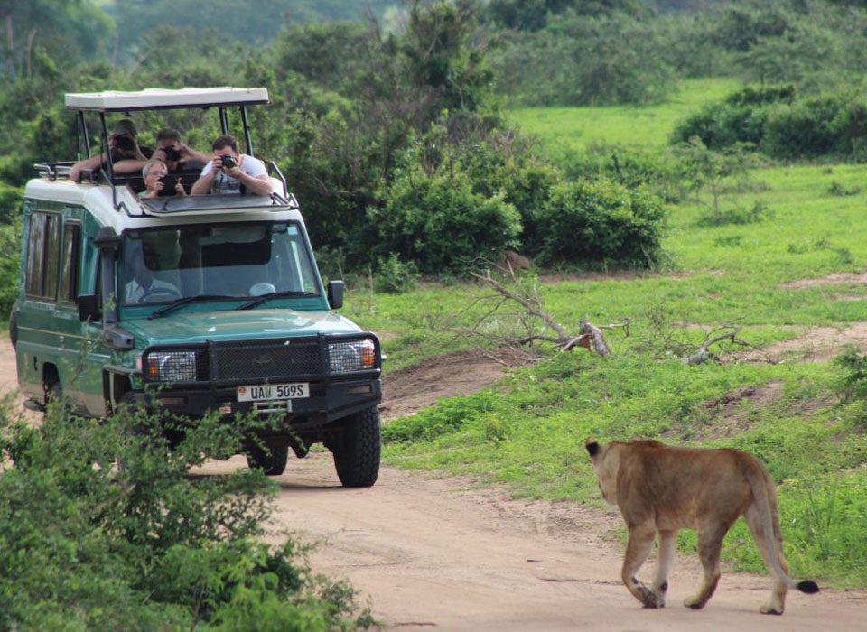 Murchison and Big Five Safari