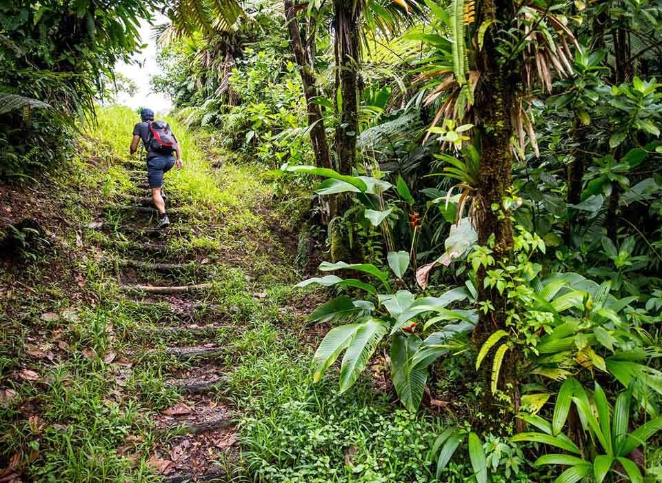 How many Hiking trails does Uganda have?