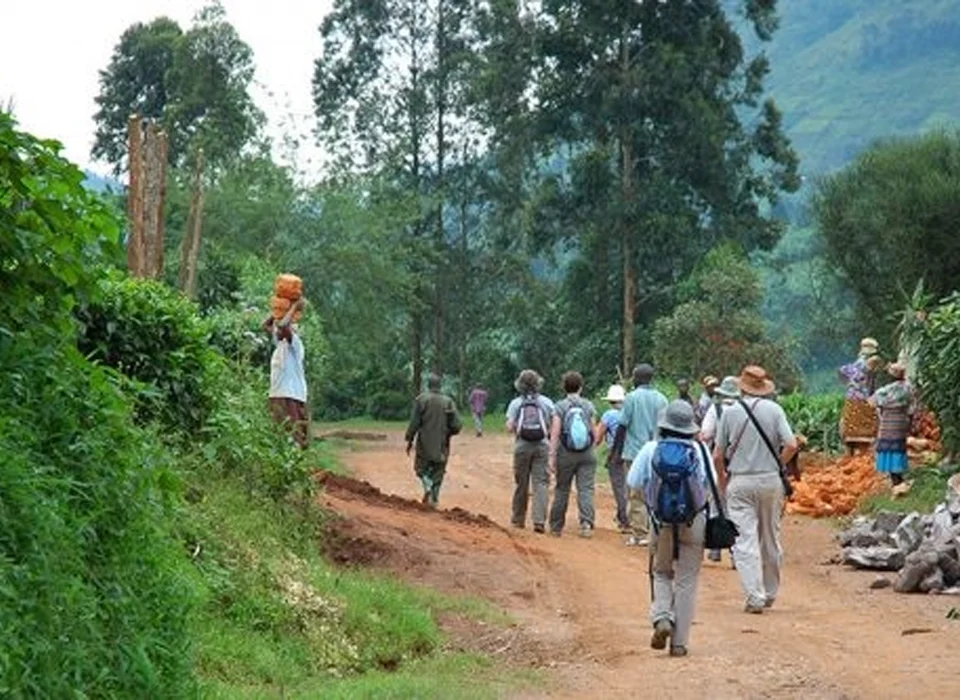 Exploring Rubuguri Village Walk in Bwindi