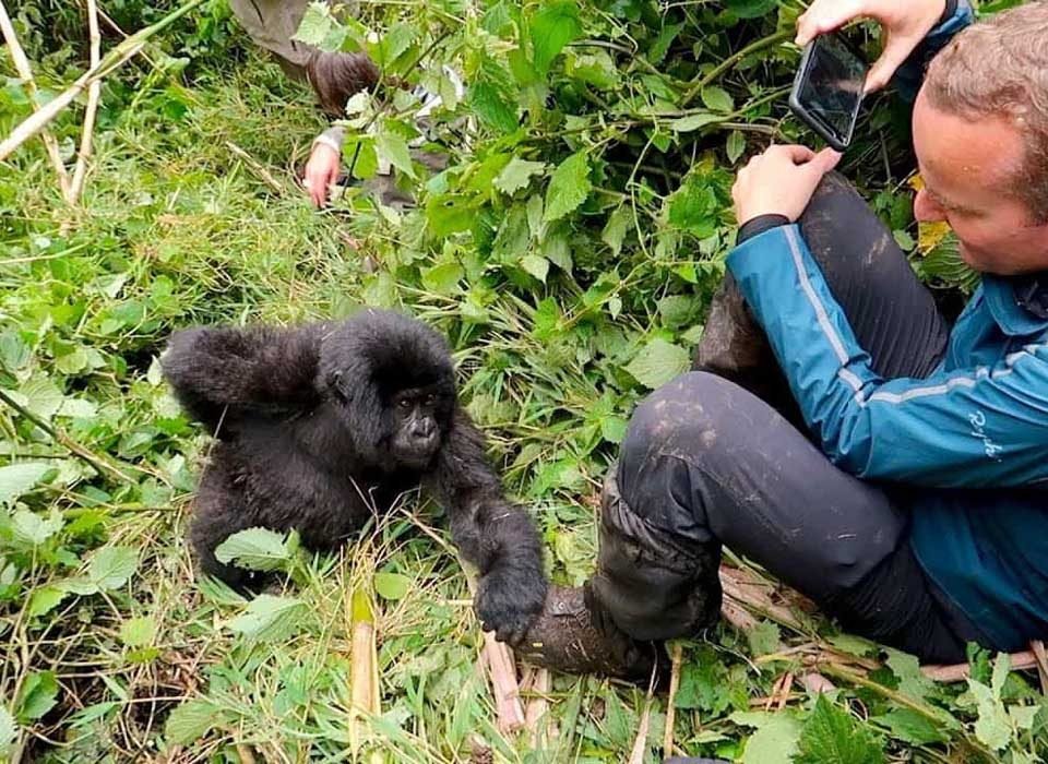 Gorilla Trekking Safety
