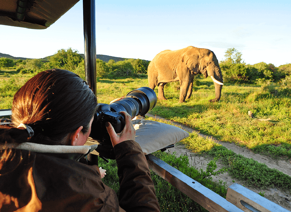 Photography Safari in Uganda