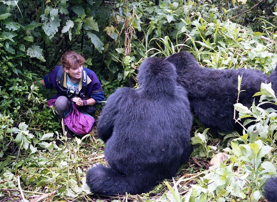 Gorilla trekking with Kids in Uganda and Rwanda