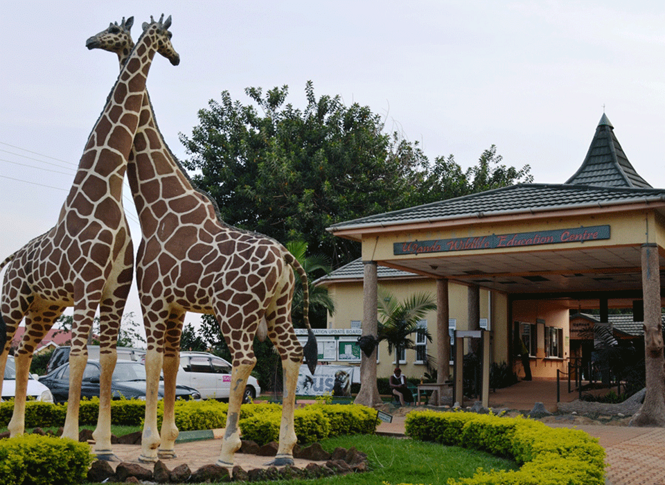 Top things to do in Entebbe