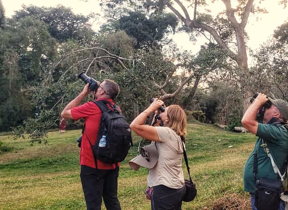 Bird watching guide