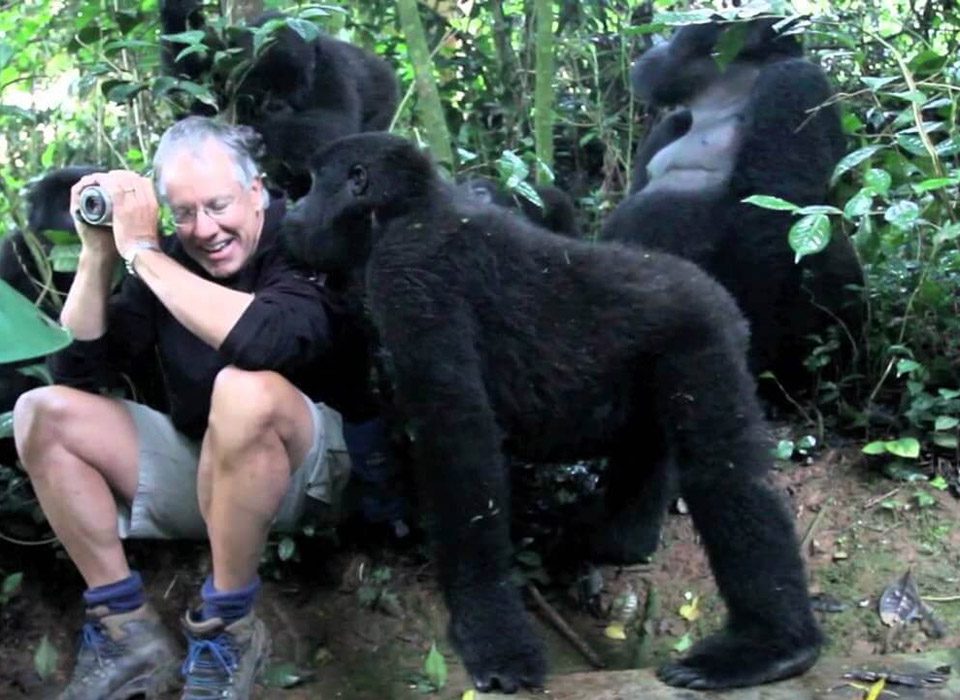 How Many Miles Do You Walk to See The Gorillas