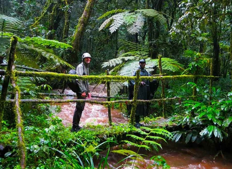 Hiking Trails in The Buhoma Region