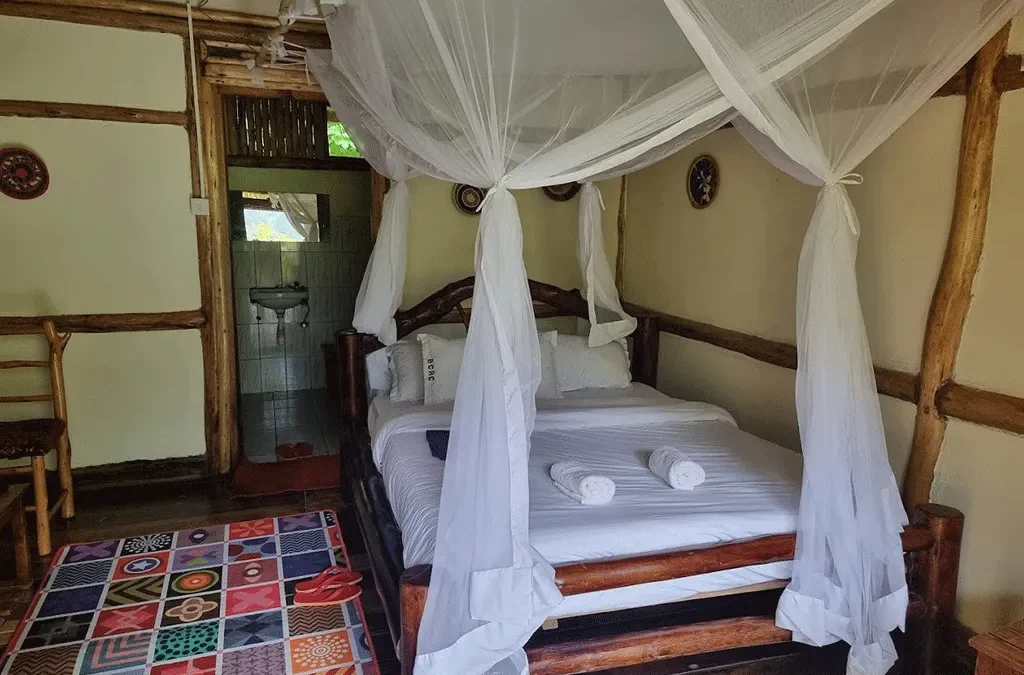 Budget Lodges in bwindi