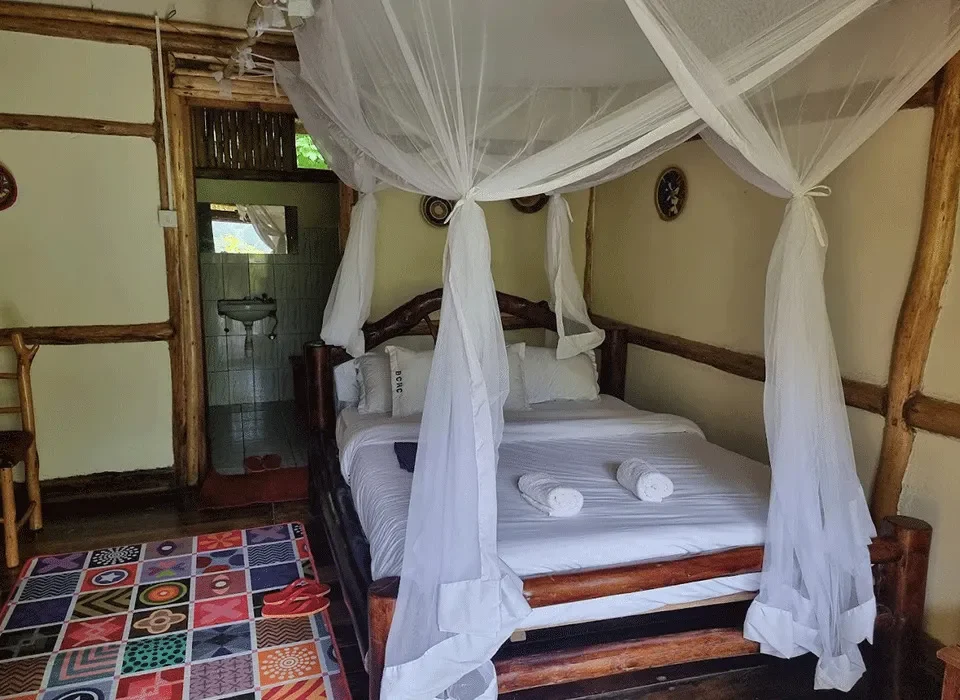 Budget Lodges in bwindi