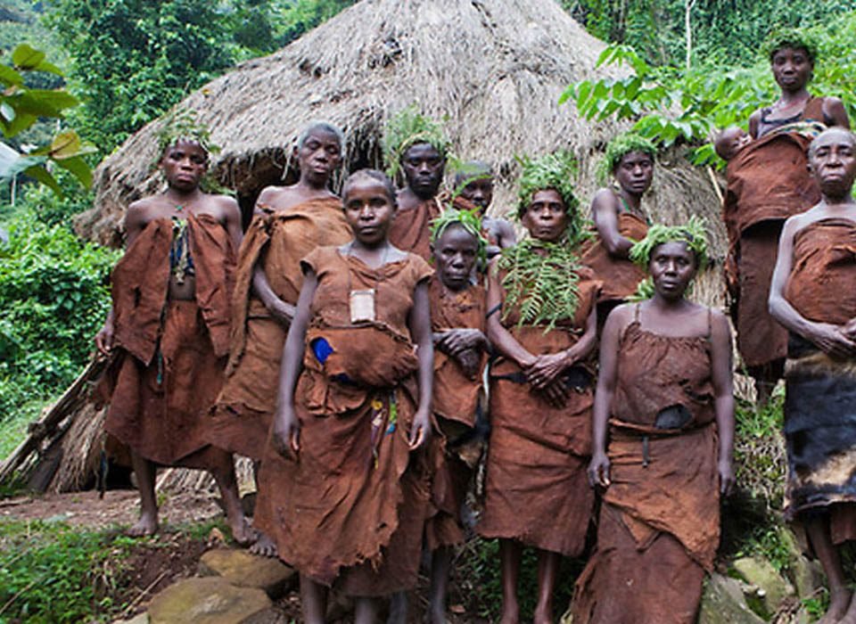 why local tribes make gorilla trekking in Africa unforgettable.