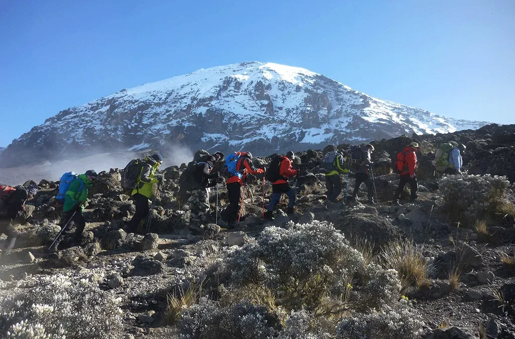 Things To Do On a Mount Kilimanjaro Tour 2 Things To Do On a Mount Kilimanjaro Tour
