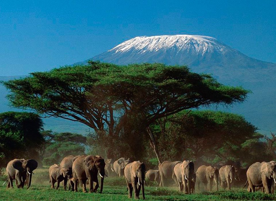 Combined Kenya Uganda Safari Tours