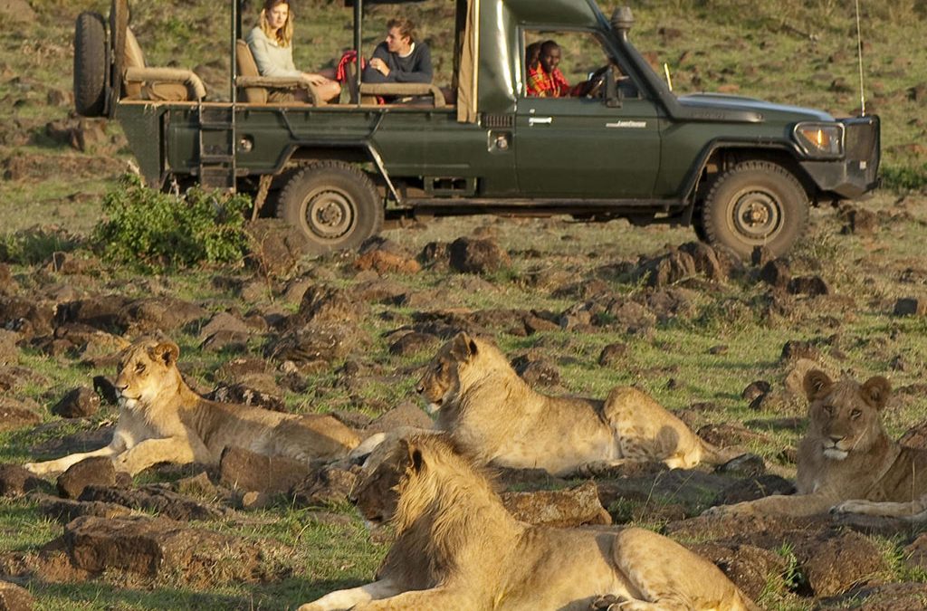 The Mara North Conservancy 2 Animals to Spot in Masai Mara on a Kenya Wildlife Safari