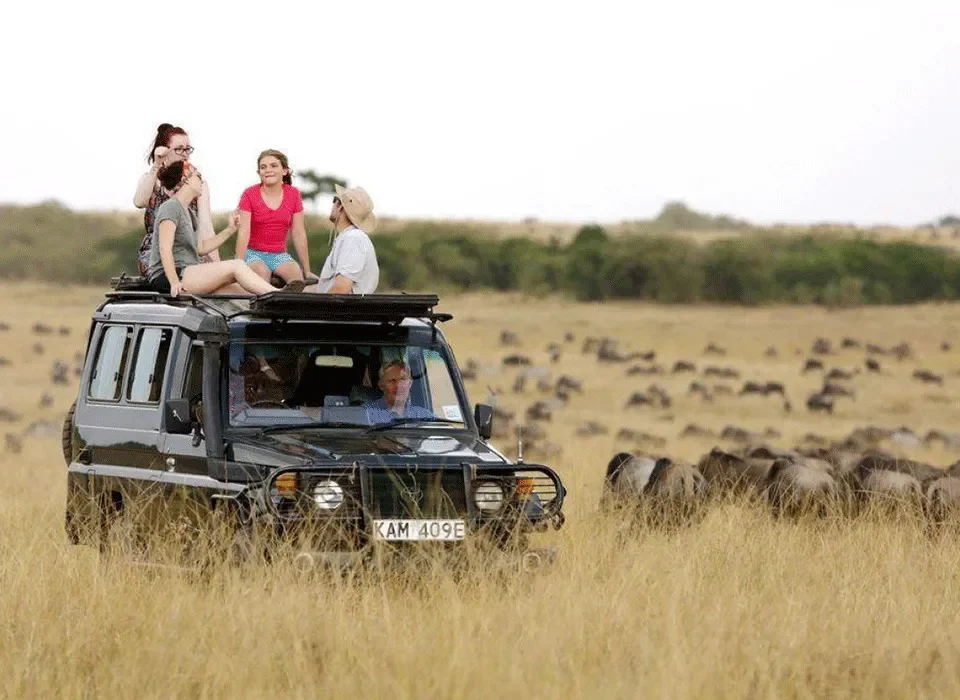 Kenya Family Safari