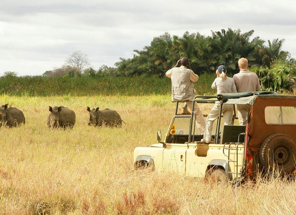 How to Book a Safari in Kenya Step by Step