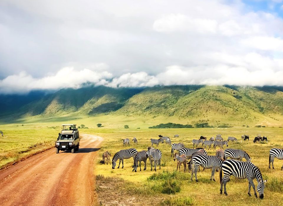 How  to Book a Safari in Tanzania Step-by-Step
