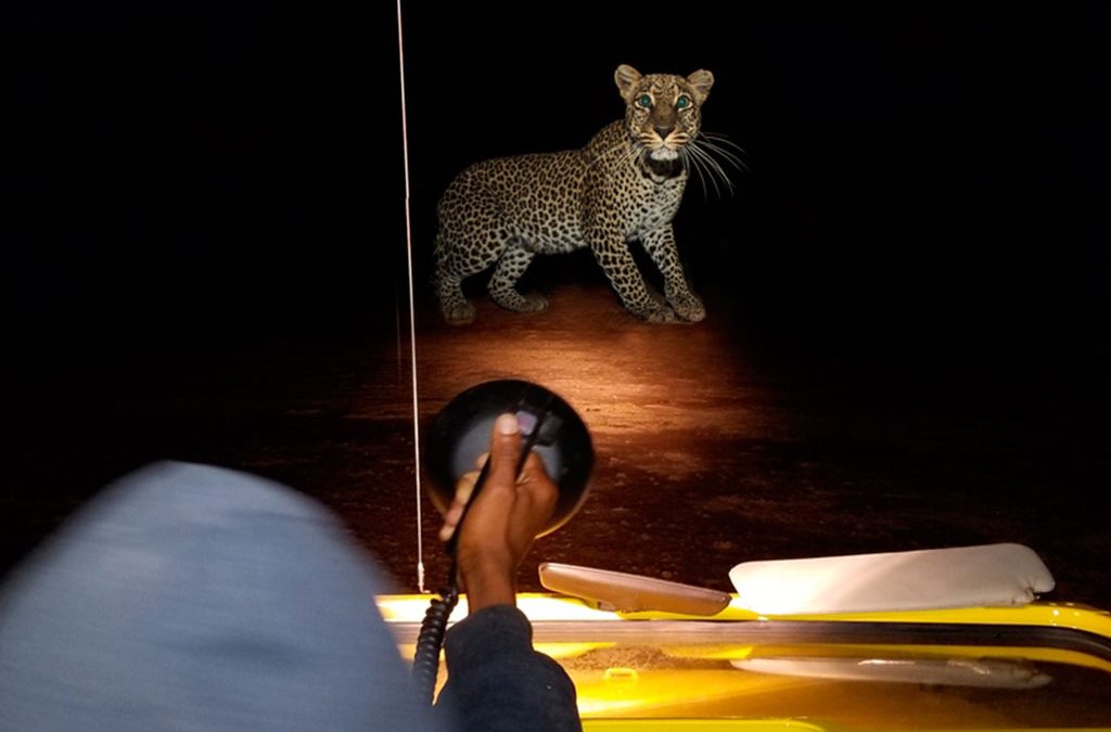 Night Game Drives in Akagera National Park