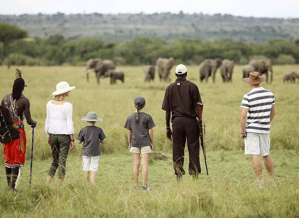 Is Kenya Safe to Visit For a Safari in 2025? 4 Is Kenya Safe to Visit in 2025?