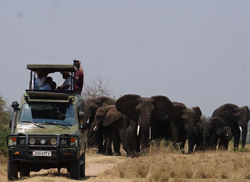 Top Safari Activities to do in Rwanda on Family safari