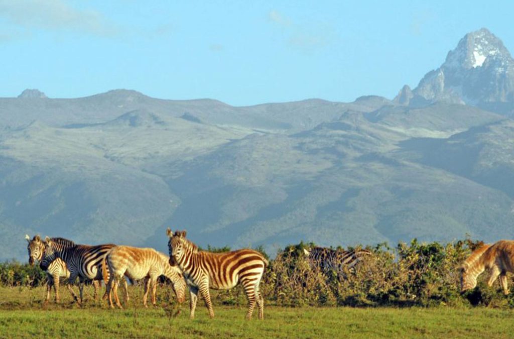 Mount Elgon National Park 2 Mount Elgon National Park
